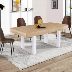 IDMarket Table à manger 6 à 10 personnes bois et blanc* Meubles En Bois|Collection Design