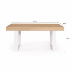 IDMarket Table à manger 6 à 10 personnes bois et blanc* Meubles En Bois|Collection Design