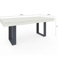 IDMarket Table à manger bois gris 200 cm* Collection Design|Collection Moderne