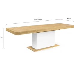 IDMarket Table à manger extensible rectangle 12 personnes* Collection Design|Collection Moderne