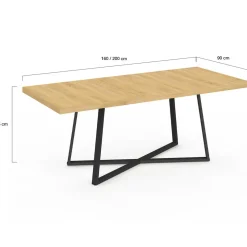 IDMarket Table à manger extensible rectangle 160-200 cm 6-10 personnes bois et noir* Collection Design|Collection Moderne