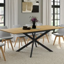 IDMarket Table à manger extensible bois et noir 6-10 personnes 160-200 cm* Tables