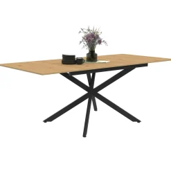IDMarket Table à manger extensible bois et noir 6-10 personnes 160-200 cm* Tables
