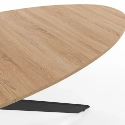 IDMarket Table à manger ovale 10 personnes noire et bois* Collection Industrielle|Salle À Manger Complète