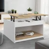 IDMarket Table basse carrée blanche avec plateau relevable et coffre bois* Petits Meubles|Tables Basses