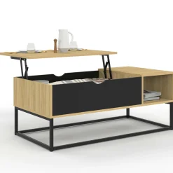 IDMarket Table basse industrielle avec rangement et plateau relevable noir* Meubles Bas|Meubles En Bois