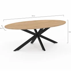IDMarket Table basse ovale bois et métal noir avec pied araignée* Tables Basses|Salon Complet