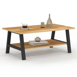 IDMarket Table basse rectangulaire 100 cm double plateau bois et noir* Tables Basses|Salon Complet