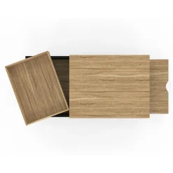 IDMarket Table basse rectangulaire plateau relevable bois et noir plateau amovible avec coffre* Meubles En Bois|Collection Moderne