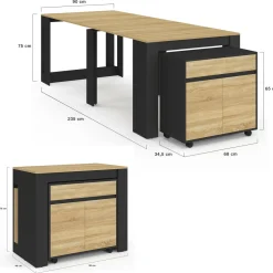 IDMarket Table buffet extensible 10 personnes 235 cm bois et noir* Meubles Noirs|Meubles En Bois