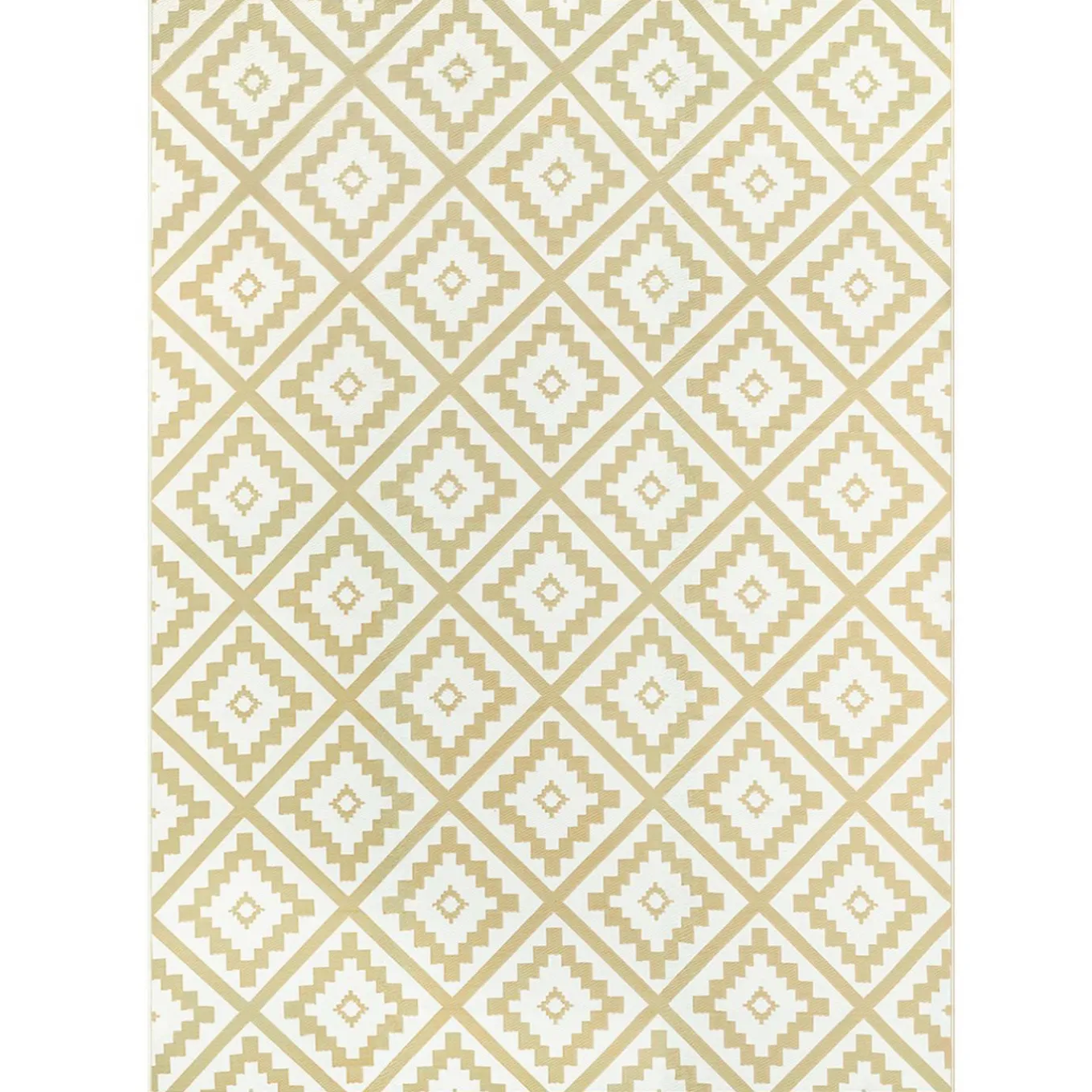 IDMarket Tapis extérieur beige 270x370cm* Revêtement Sol Extérieur